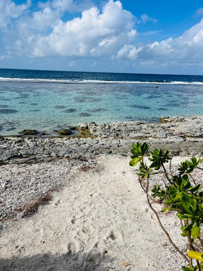 Bungalow Kura モーレア島 エクステリア 写真