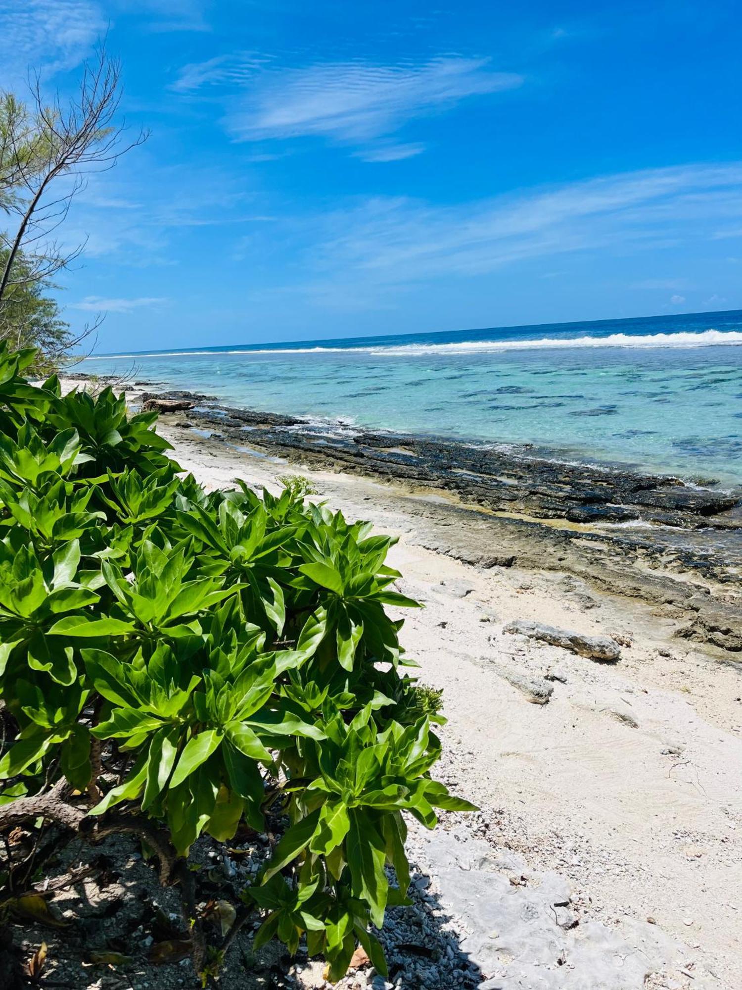 Bungalow Kura モーレア島 エクステリア 写真